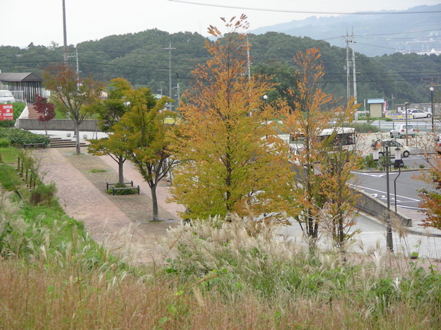 駅前の紅葉