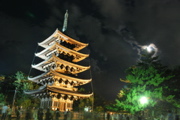 燈花会興福寺五重の塔