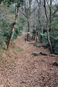 落ち葉の摂河泉ハイキングコース2